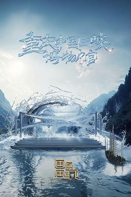 网站运营和seo的区别在哪